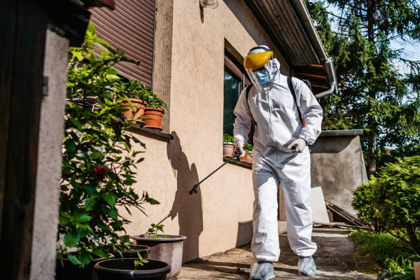 Best Residential Pest Control  in Canby, OR