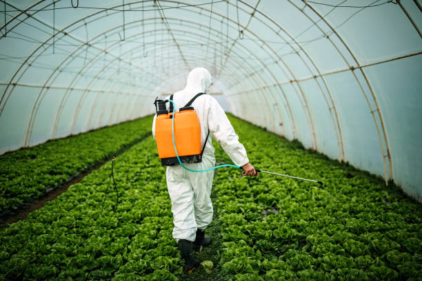 Best Commercial Pest Control Services  in Canby, OR