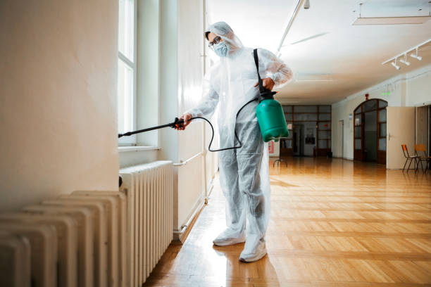 Professional Pest Control in Canby, OR