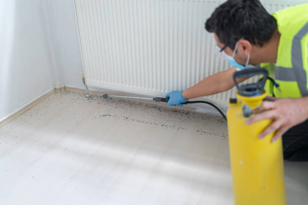 Flea Control Services in Canby, OR
